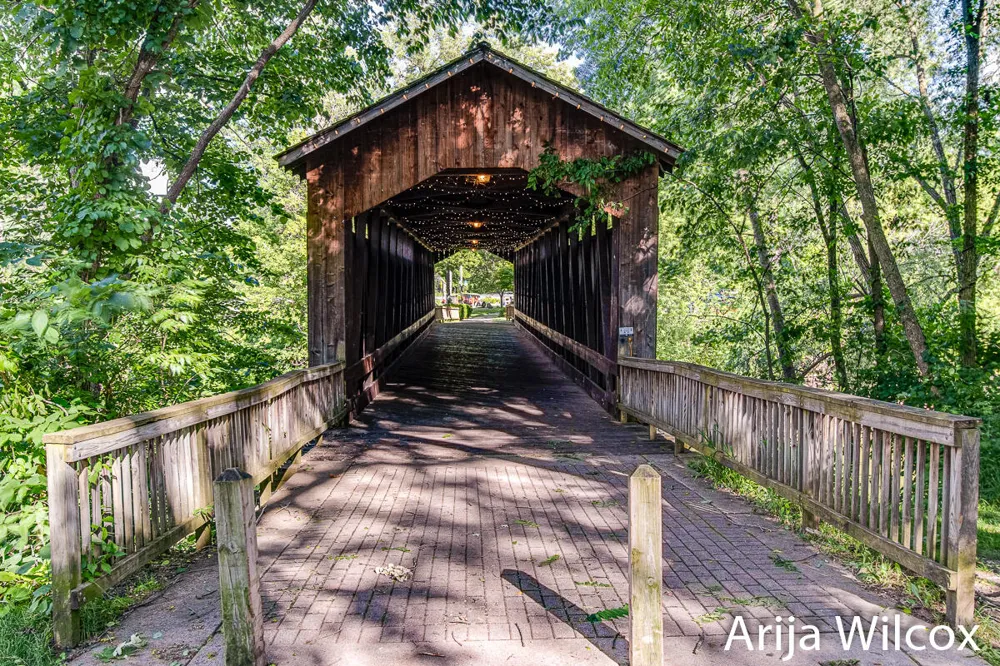 974 Dogwood Meadows Drive SE Ada Township, MI 49301