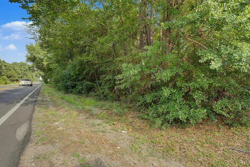 Butera Magnolia, TX 77355