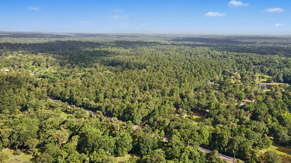 Butera Magnolia, TX 77355