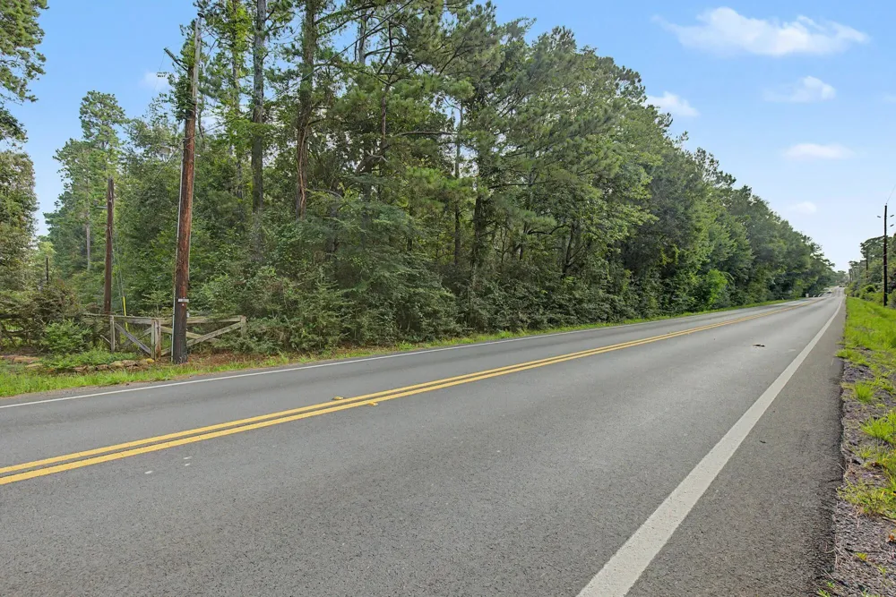 Butera Magnolia, TX 77355