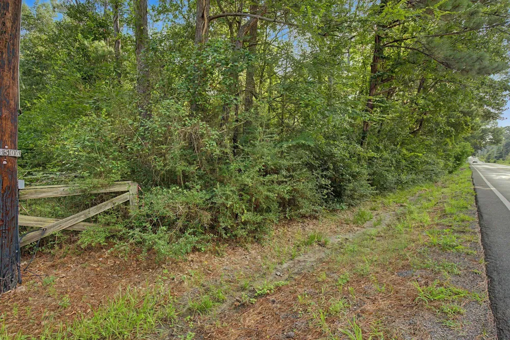 Butera Magnolia, TX 77355