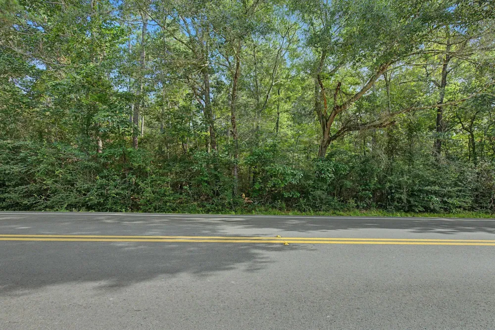 Butera Magnolia, TX 77355