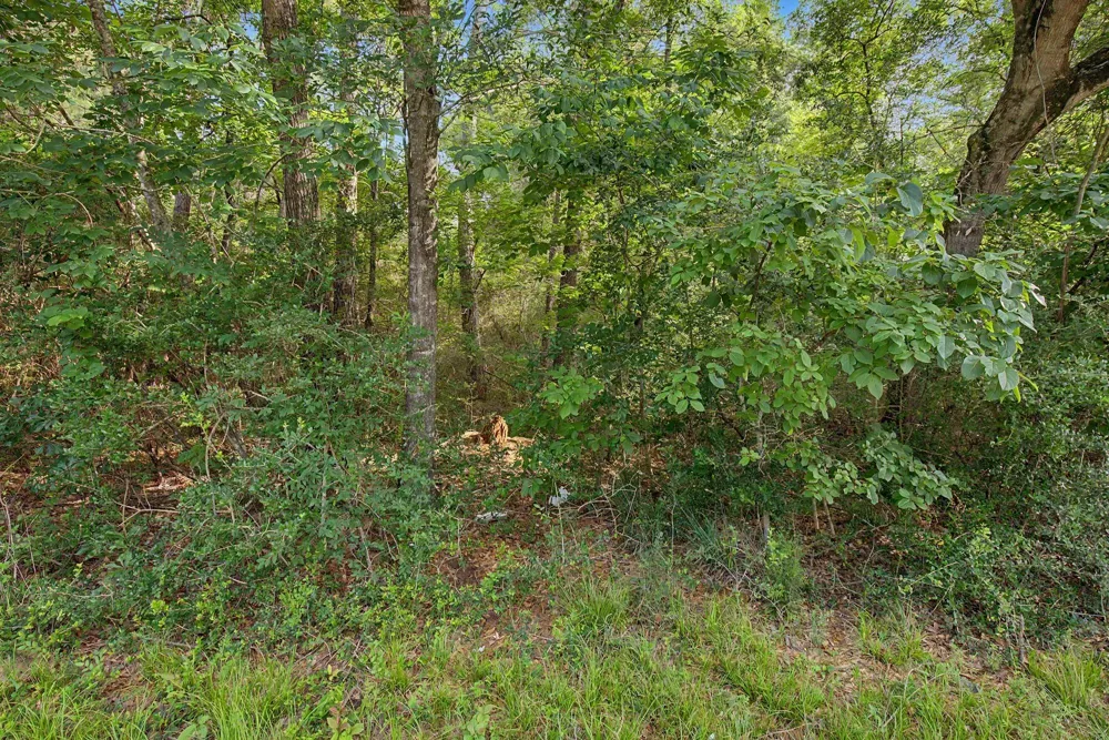 Butera Magnolia, TX 77355