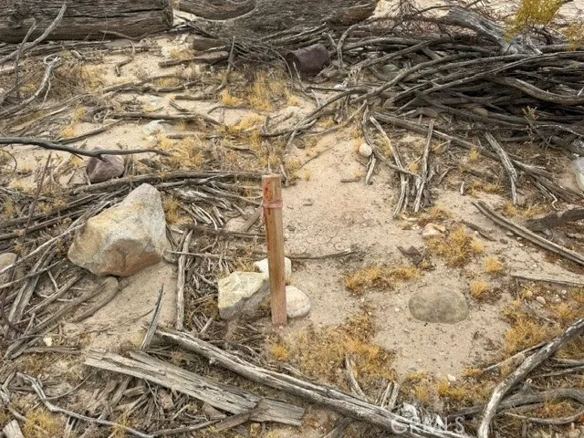 313 Desnok Needles, CA 92363