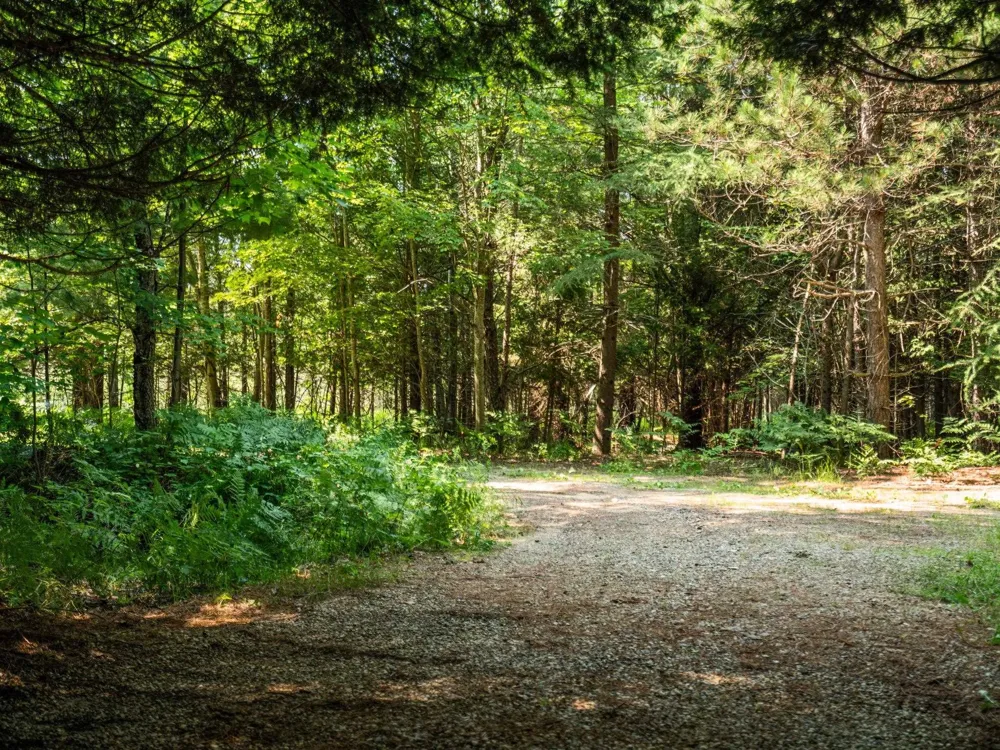 Schuss Mountain Road Custer Township, MI 49659