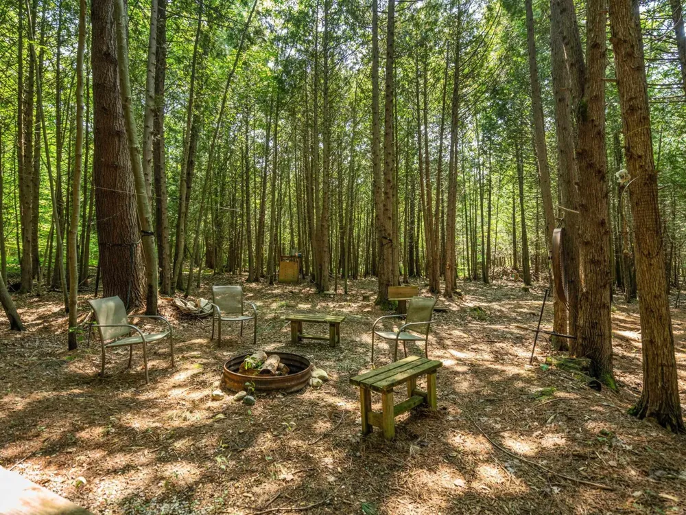 Schuss Mountain Road Custer Township, MI 49659