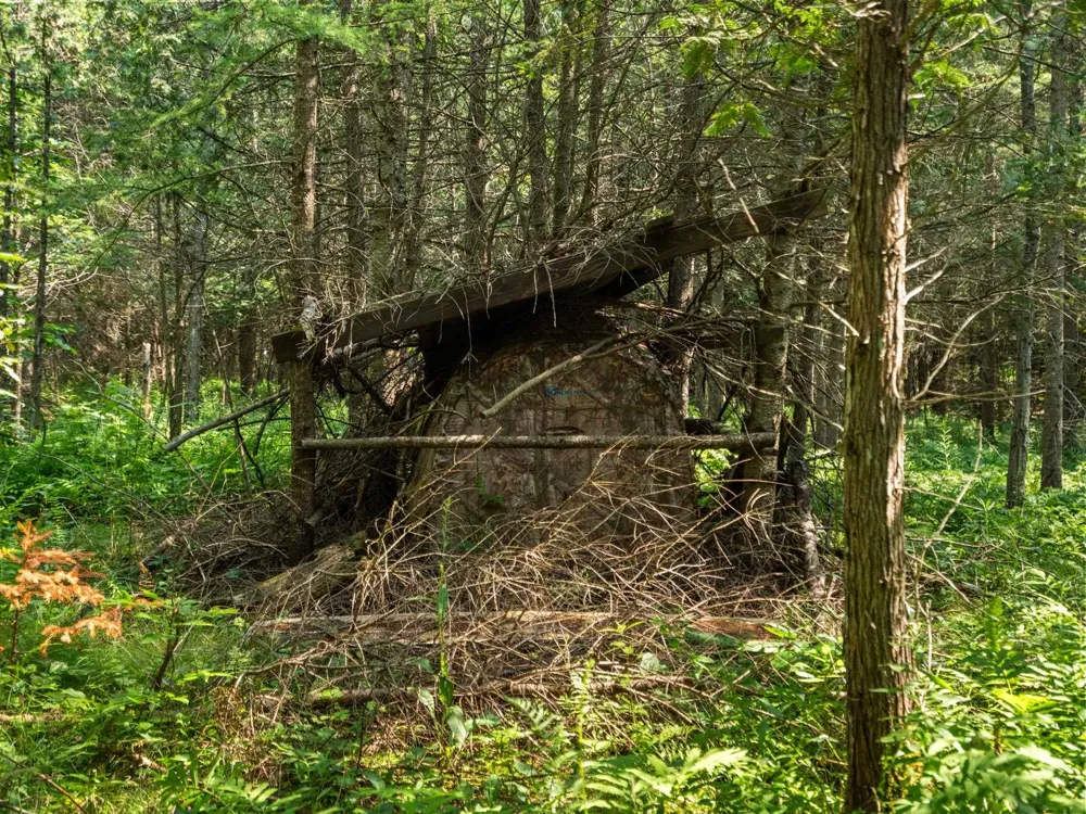 Schuss Mountain Road Custer Township, MI 49659