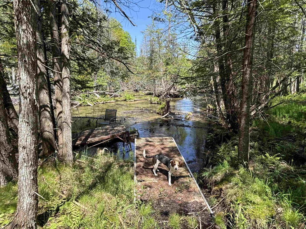 Schuss Mountain Road Custer Township, MI 49659