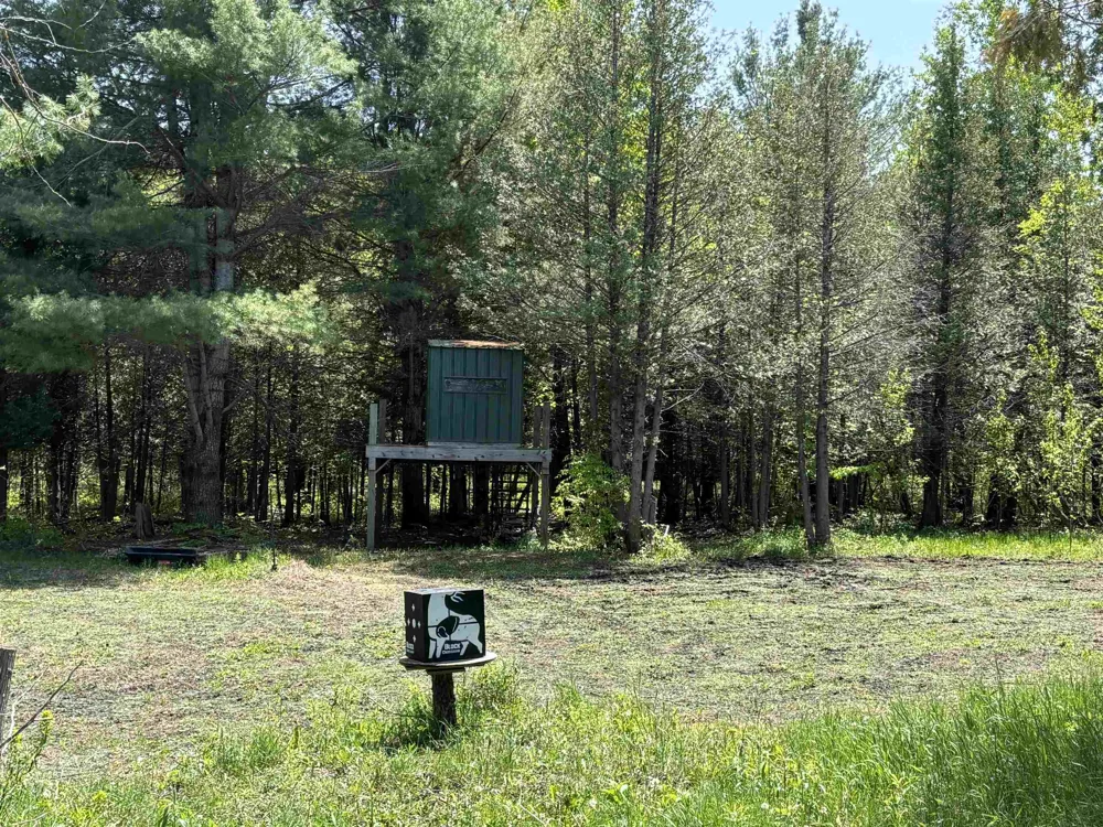 Schuss Mountain Road Custer Township, MI 49659