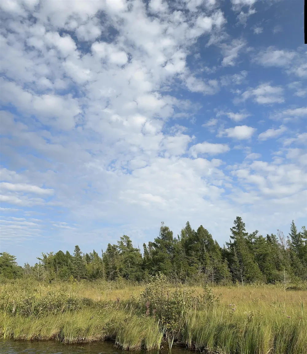 Schuss Mountain Road Custer Township, MI 49659