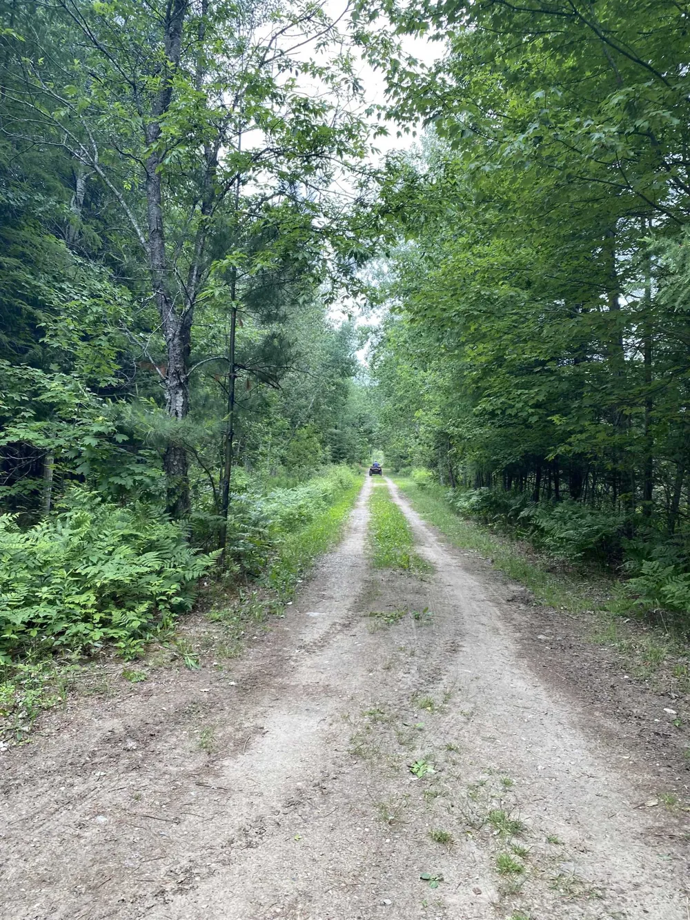 Schuss Mountain Road Custer Township, MI 49659
