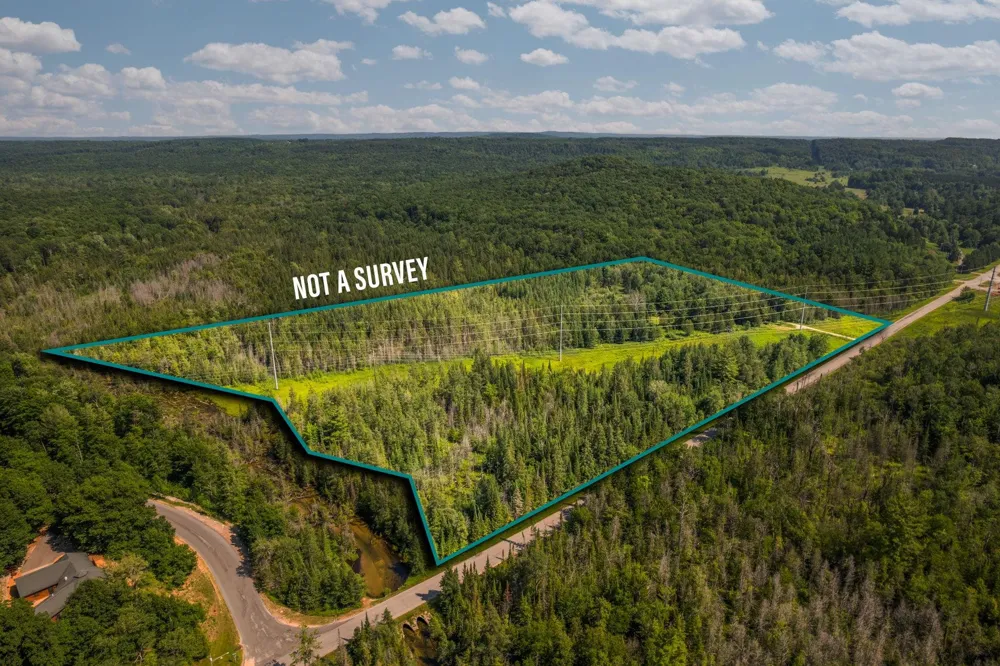 Schuss Mountain Road Custer Township, MI 49659