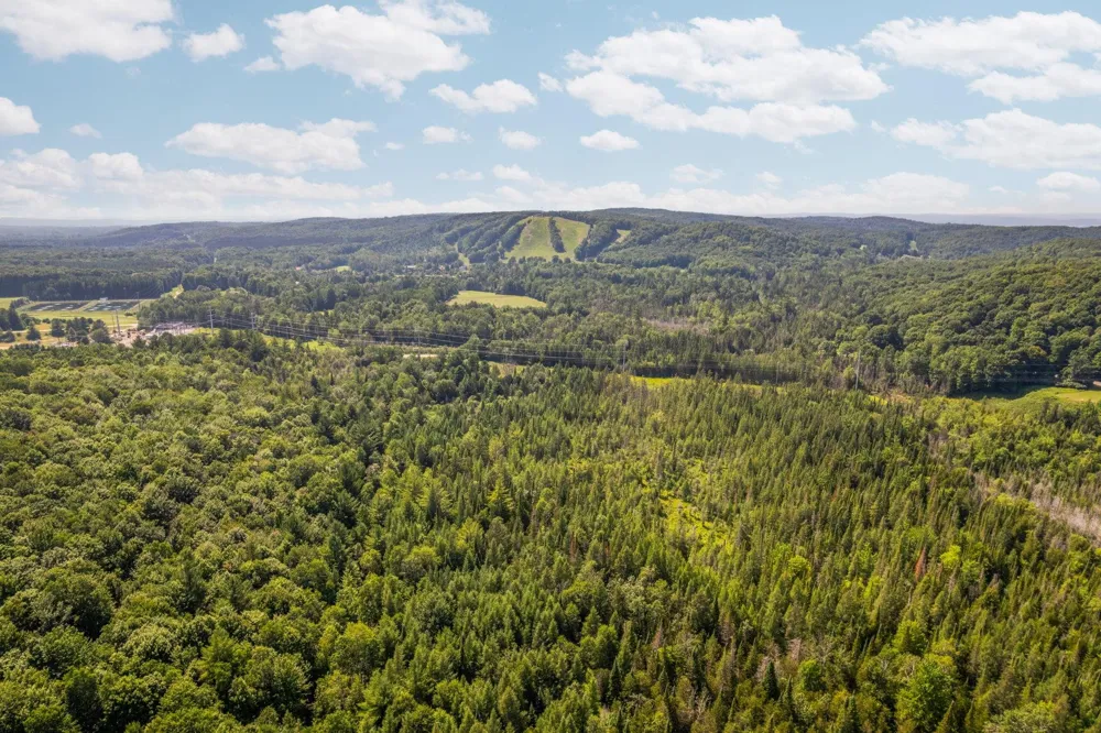 Schuss Mountain Road Custer Township, MI 49659