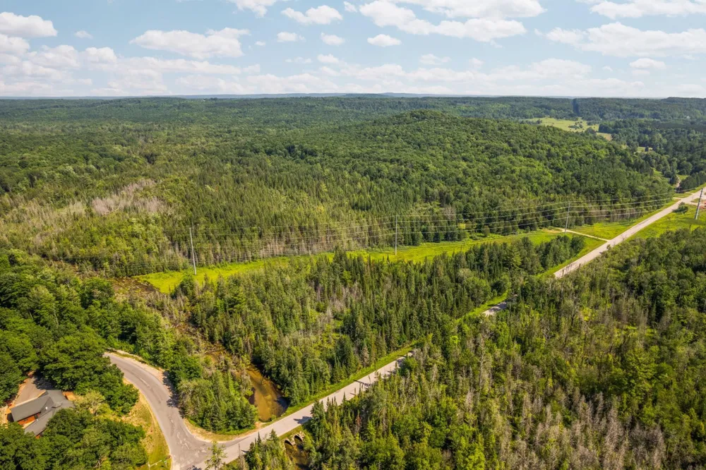 Schuss Mountain Road Custer Township, MI 49659