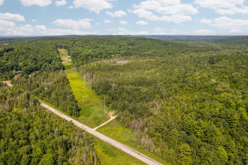 Schuss Mountain Road Custer Township, MI 49659
