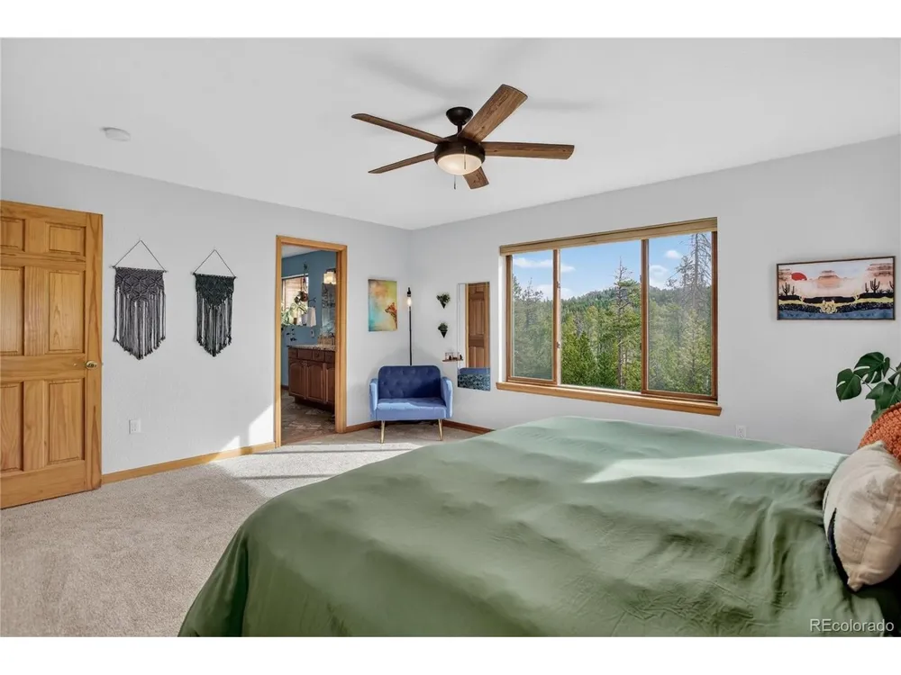 10972 Milliken Avenue Conifer, CO 80433