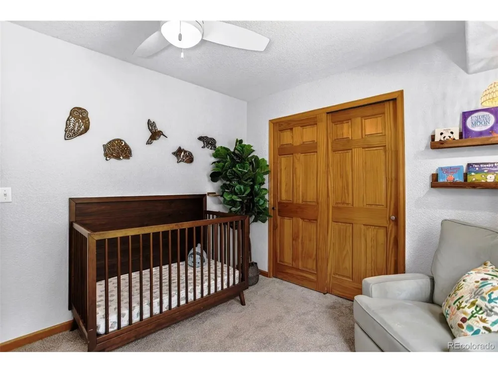 10972 Milliken Avenue Conifer, CO 80433