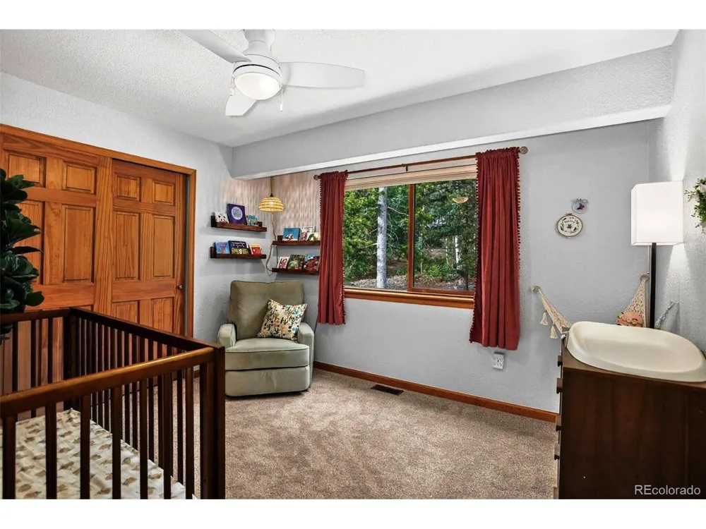 10972 Milliken Avenue Conifer, CO 80433