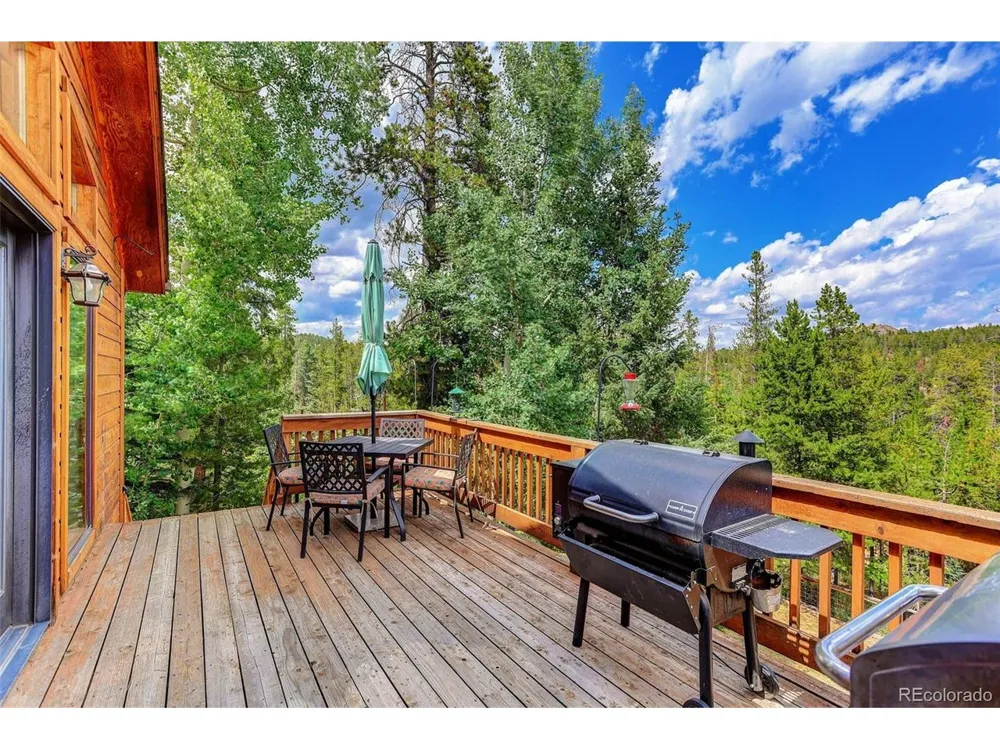 10972 Milliken Avenue Conifer, CO 80433