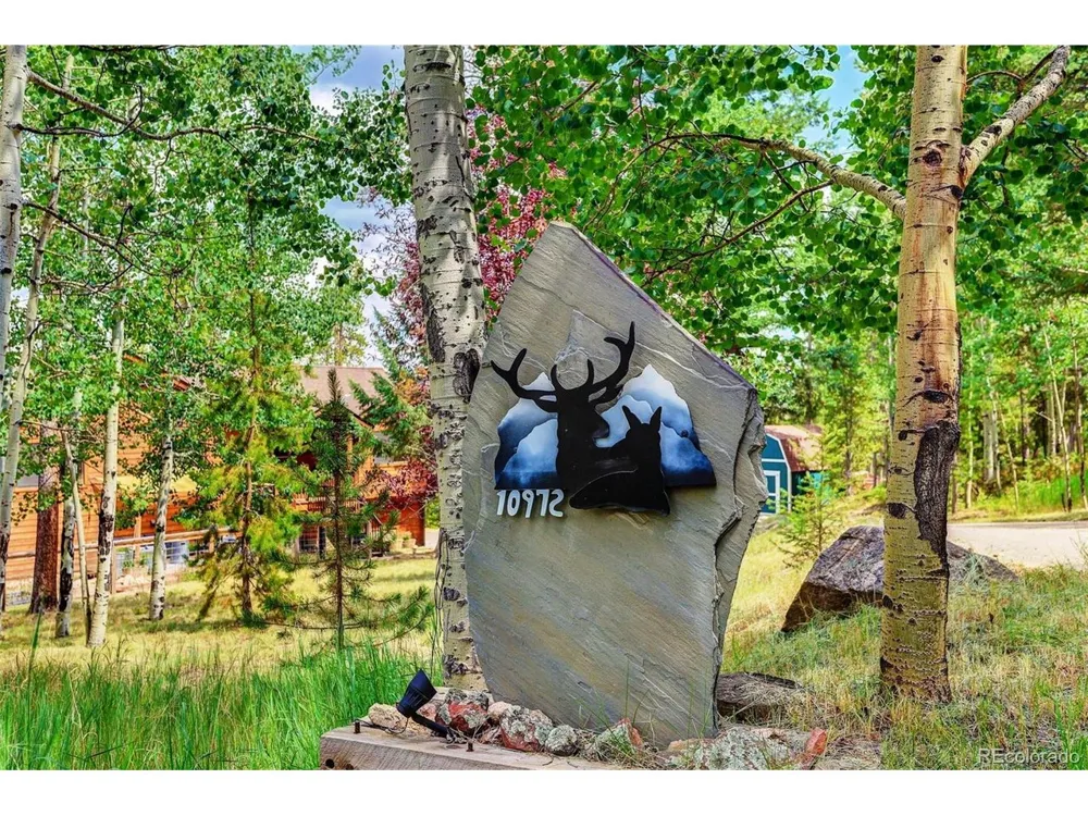 10972 Milliken Avenue Conifer, CO 80433