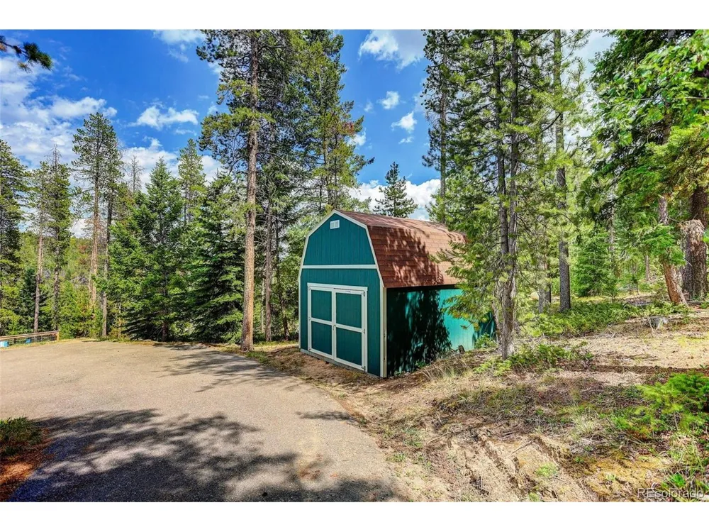 10972 Milliken Avenue Conifer, CO 80433