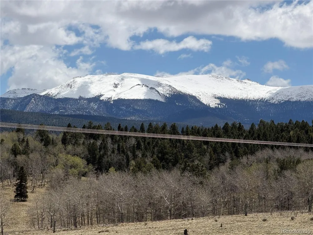 538 Friar Tuck Drive Divide, CO 80814