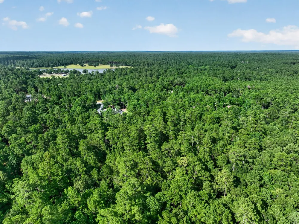 Branding Iron Road Huntsville, TX 77340