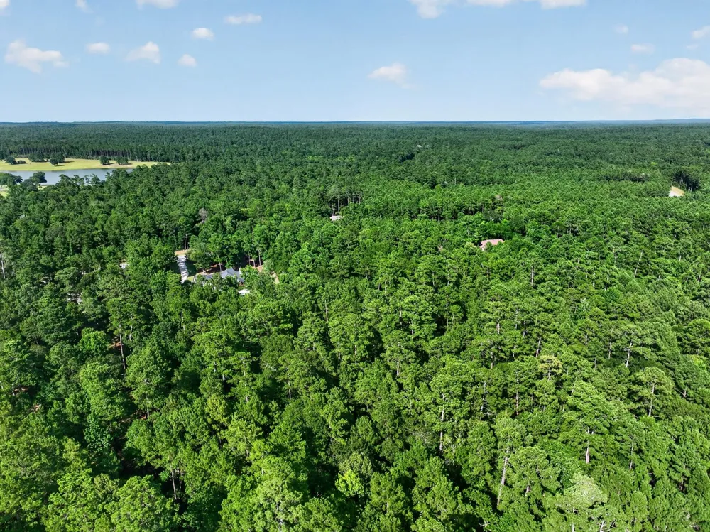 Branding Iron Road Huntsville, TX 77340