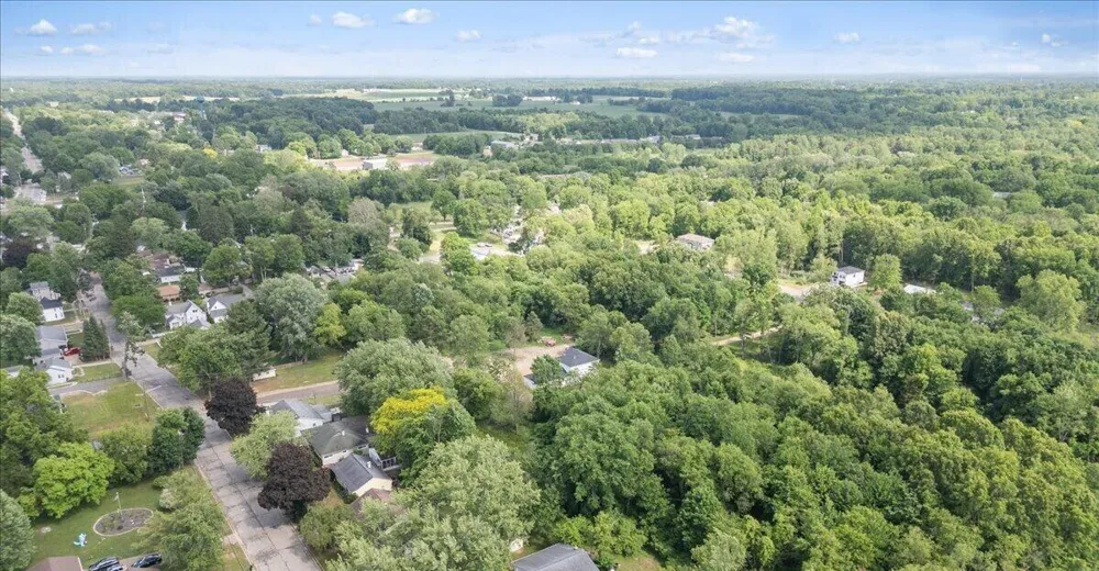 102 Mehl Street Leslie, MI 49251
