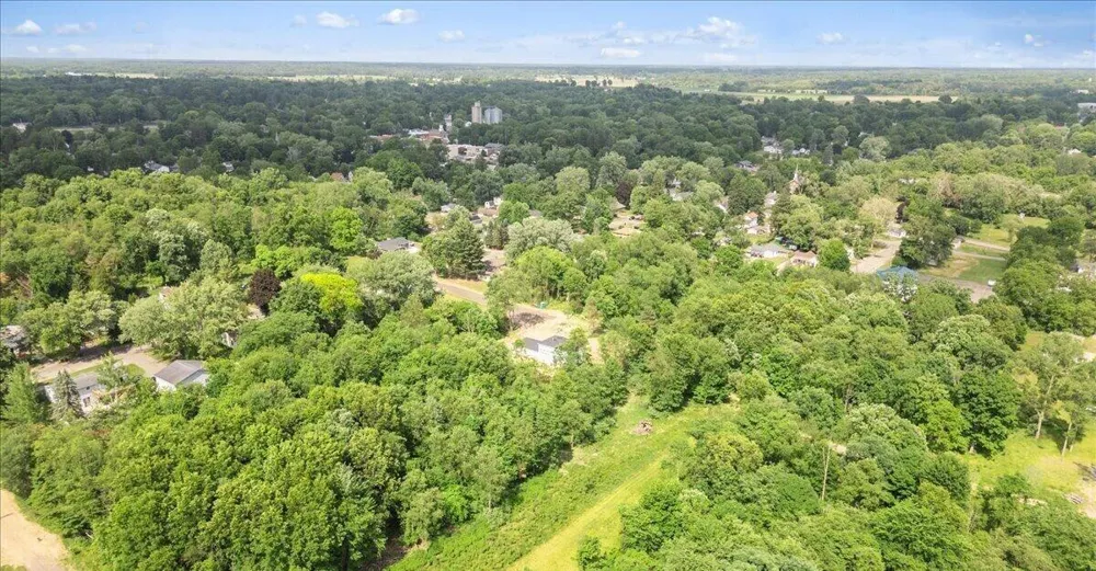 102 Mehl Street Leslie, MI 49251