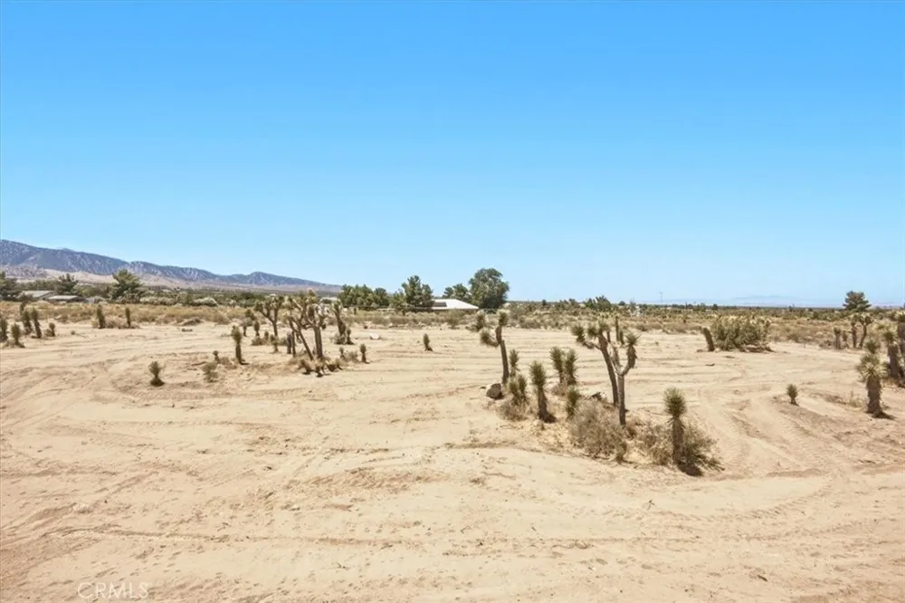 11074 Ponderosa Road Pinon Hills, CA 92372