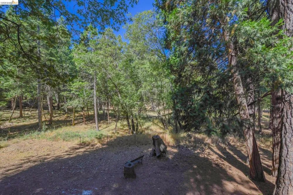 19342 Superior Dr Twain Harte, CA 95383