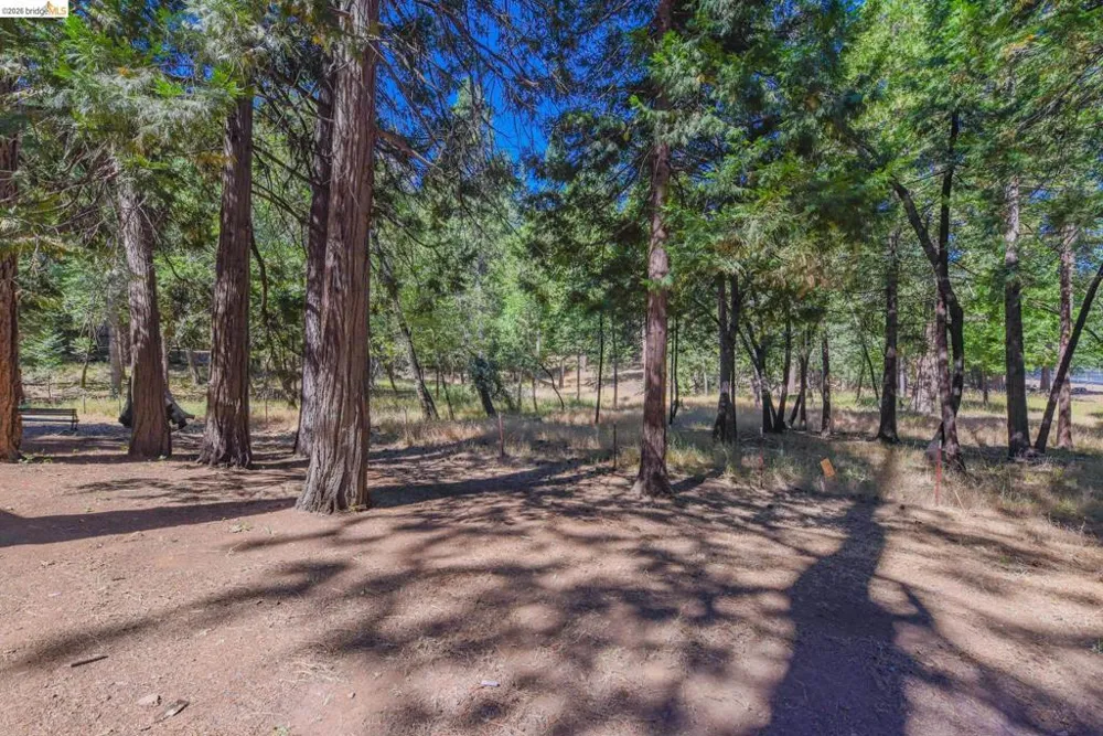 19342 Superior Dr Twain Harte, CA 95383