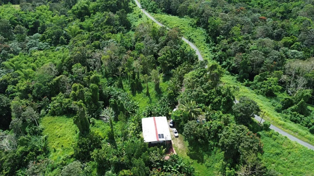 PR-183 San Lorenzo, PR 00754