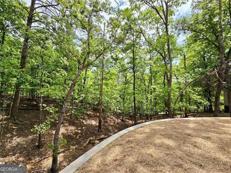 149 White Antelope ST Waleska, GA 30183