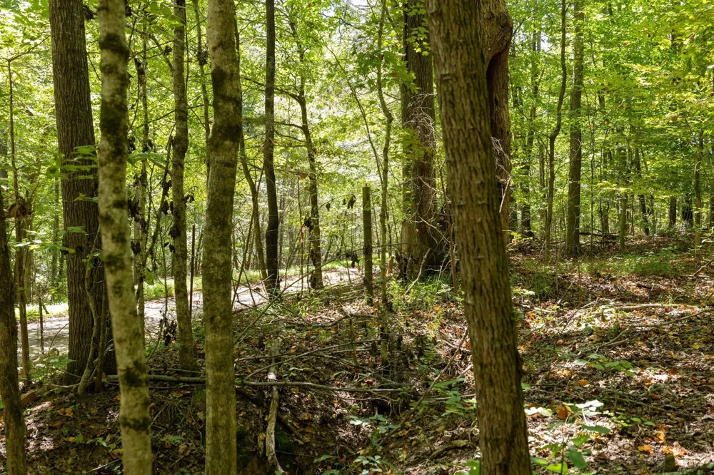 0 Shapiro Trail Columbia, TN 38401
