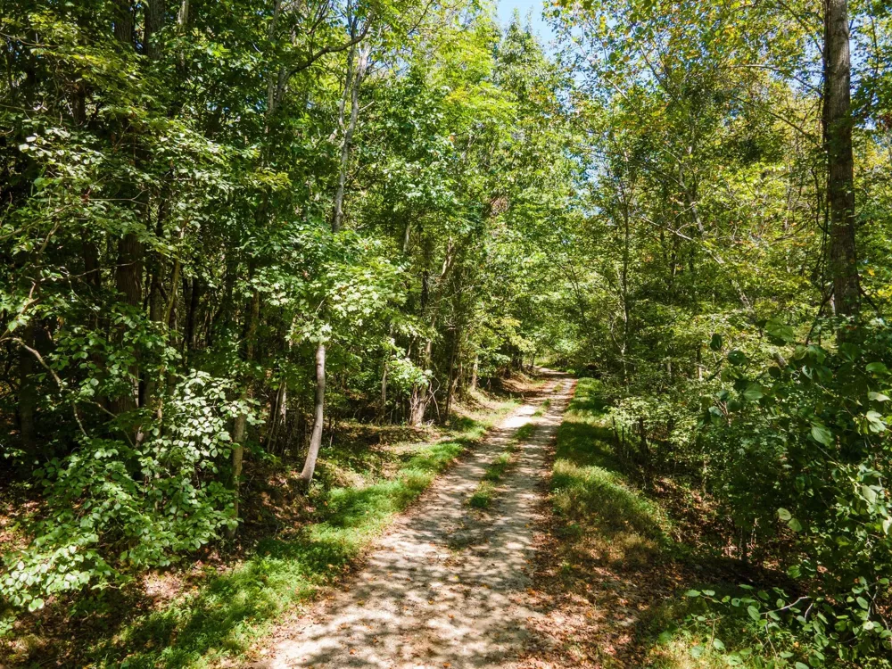 0 Shapiro Trail Columbia, TN 38401