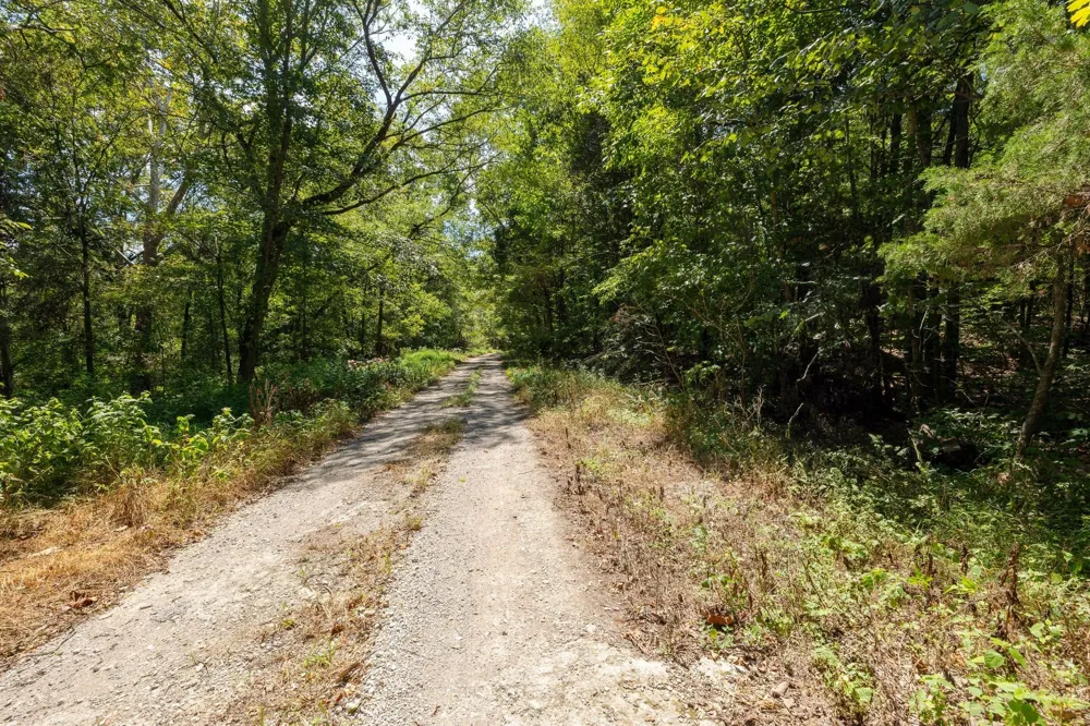 0 Shapiro Trail Columbia, TN 38401