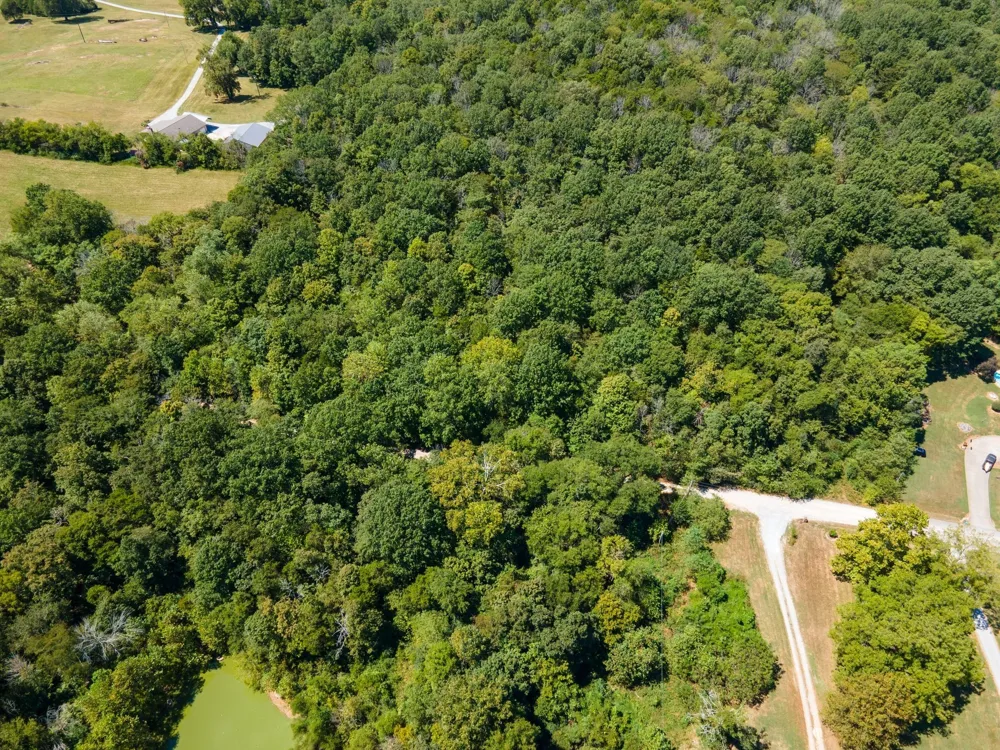 0 Shapiro Trail Columbia, TN 38401