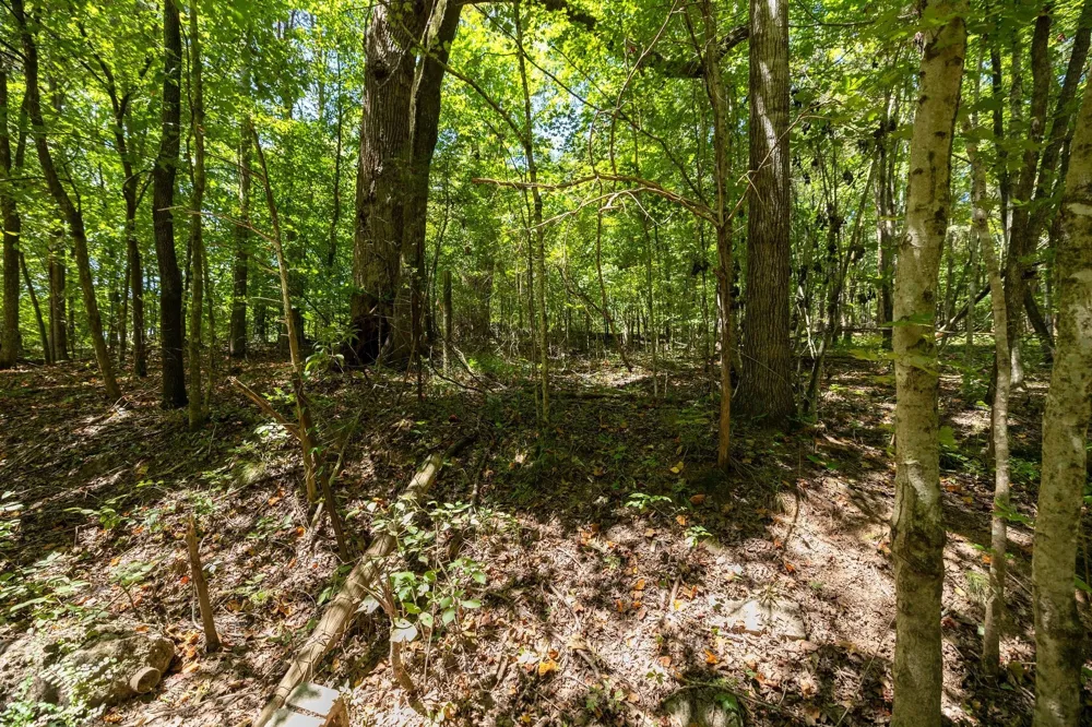 0 Shapiro Trail Columbia, TN 38401