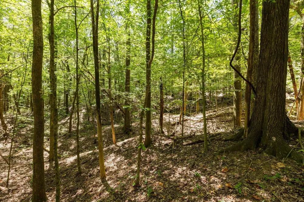 0 Shapiro Trail Columbia, TN 38401