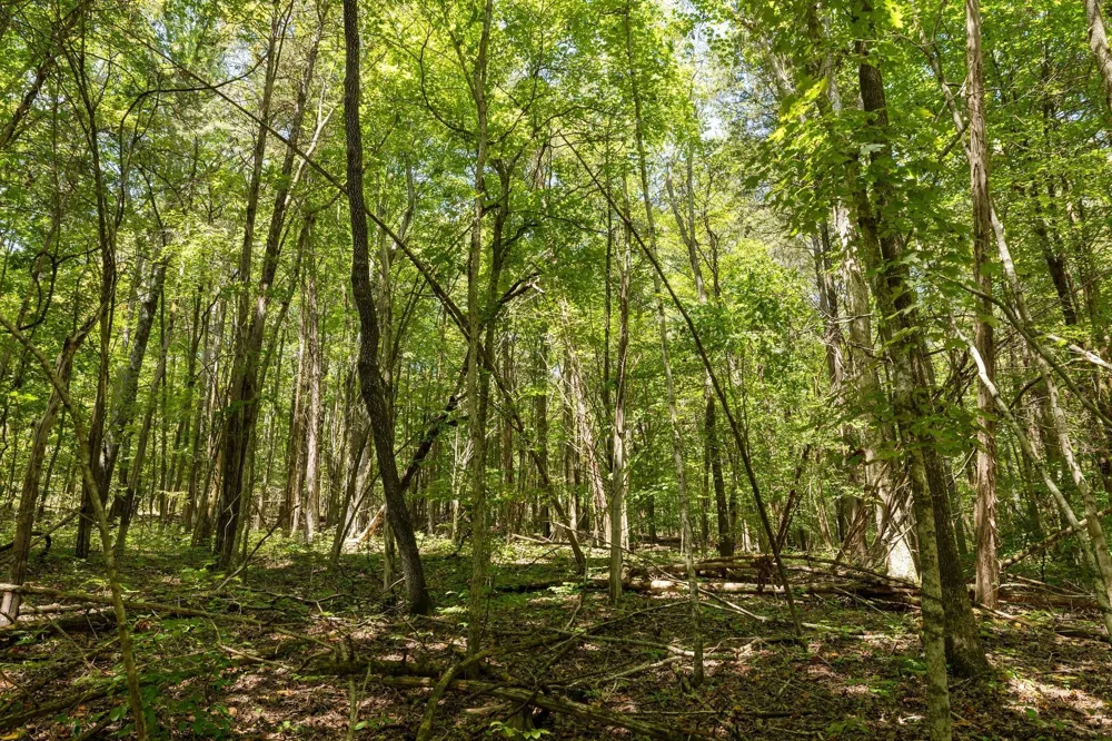 0 Shapiro Trail Columbia, TN 38401