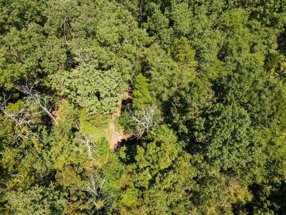 0 Shapiro Trail Columbia, TN 38401