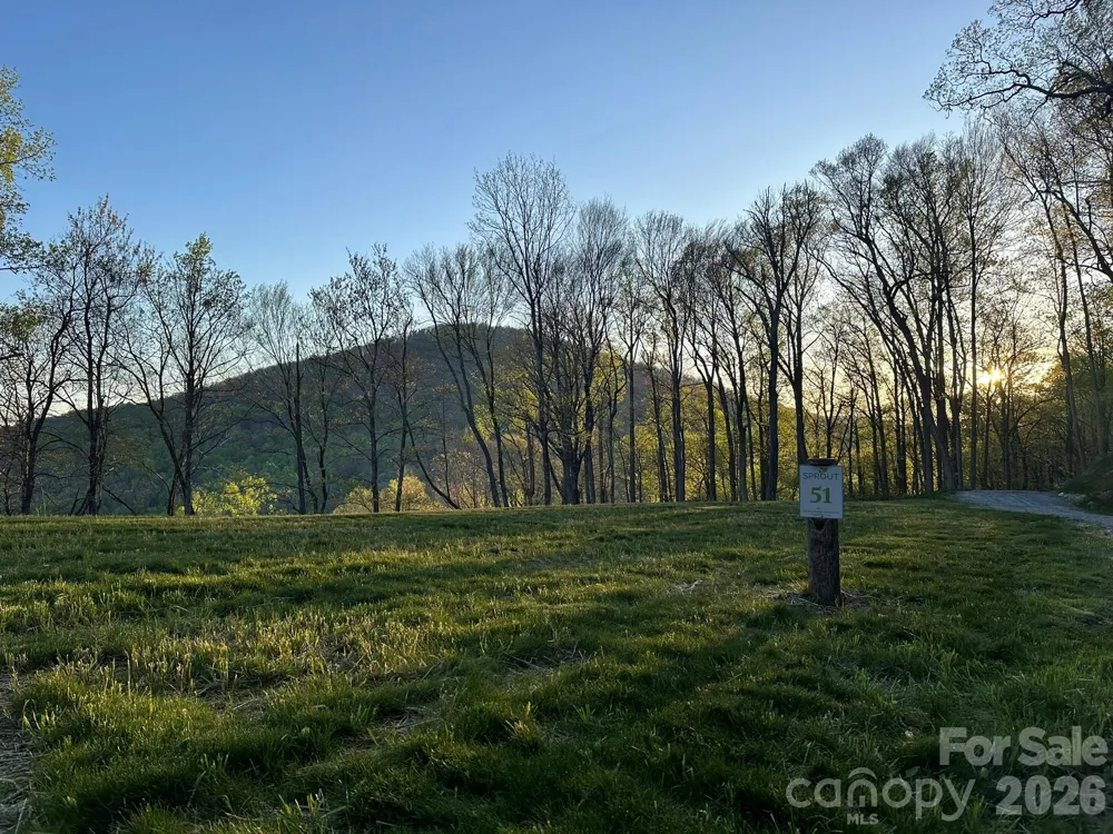 000 Hemlock Grove Trail #51 Fletcher, NC 28732