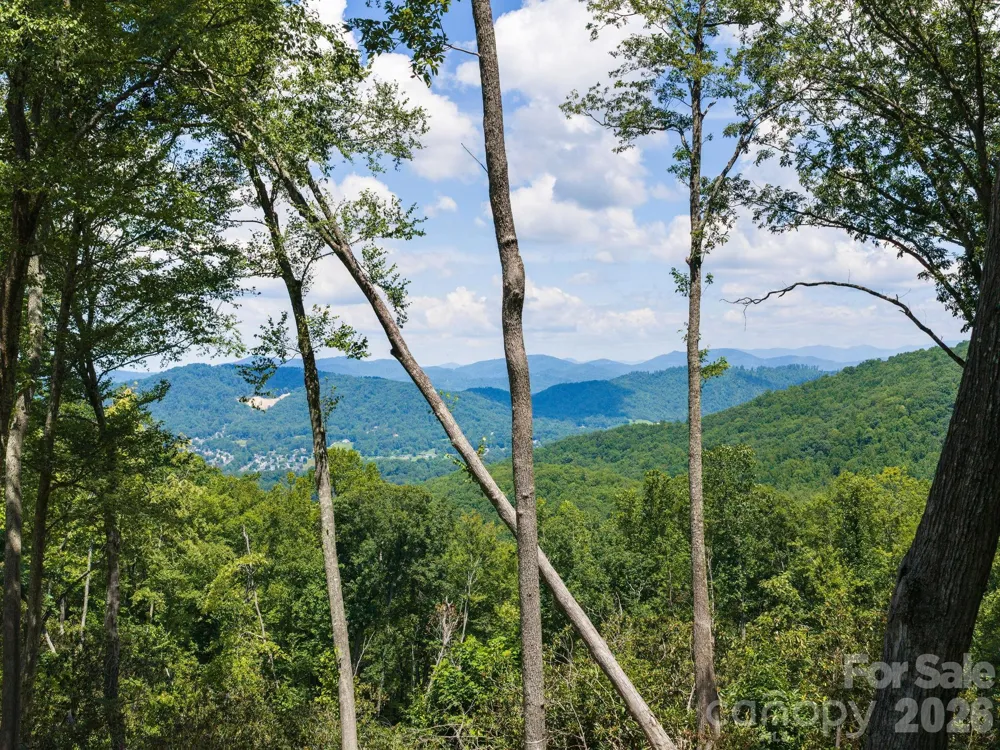 000 Hemlock Grove Trail #51 Fletcher, NC 28732