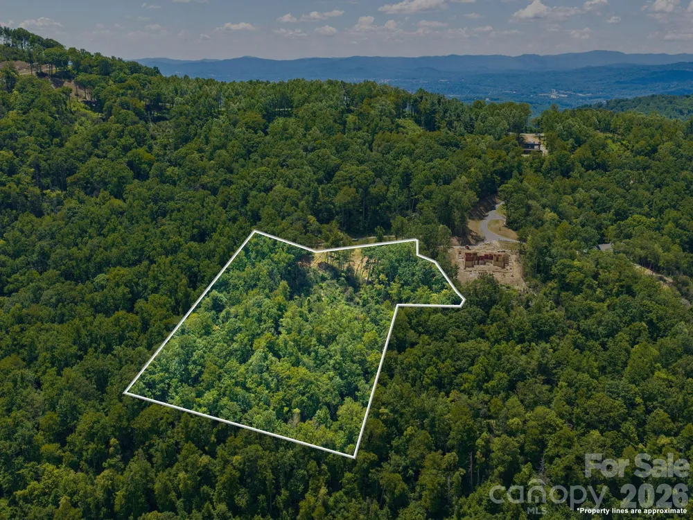 000 Hemlock Grove Trail #51 Fletcher, NC 28732