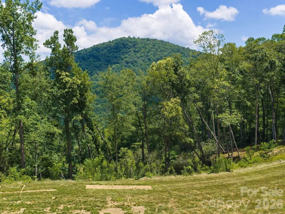 000 Hemlock Grove Trail #51 Fletcher, NC 28732