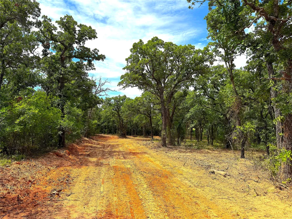 Turpin Lake Road Poolville, TX 76487