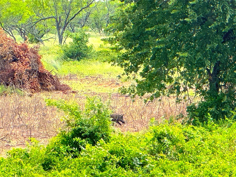 Turpin Lake Road Poolville, TX 76487
