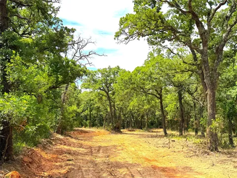 Turpin Lake Road